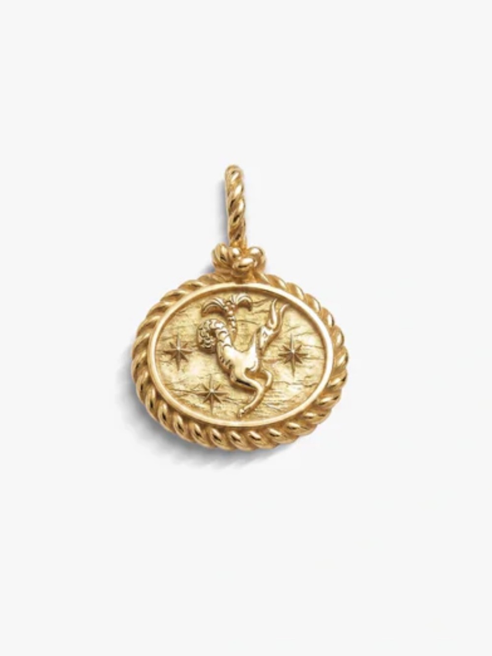 AWE Inspired Mini Gemstone Capricorn Zodiac Pendant - Picture 5 of 6